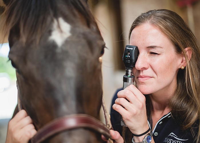 Premium Equine Eye Kit Examination,Treatment Ophthalmic Large Animals 