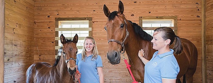 Woodside Equine Clinic Doctors providing services to horses