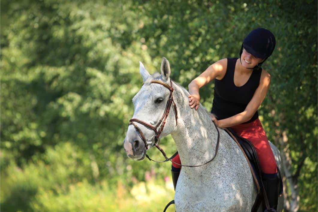 Summer Equine Wellness: A Guide to Horse Care in June