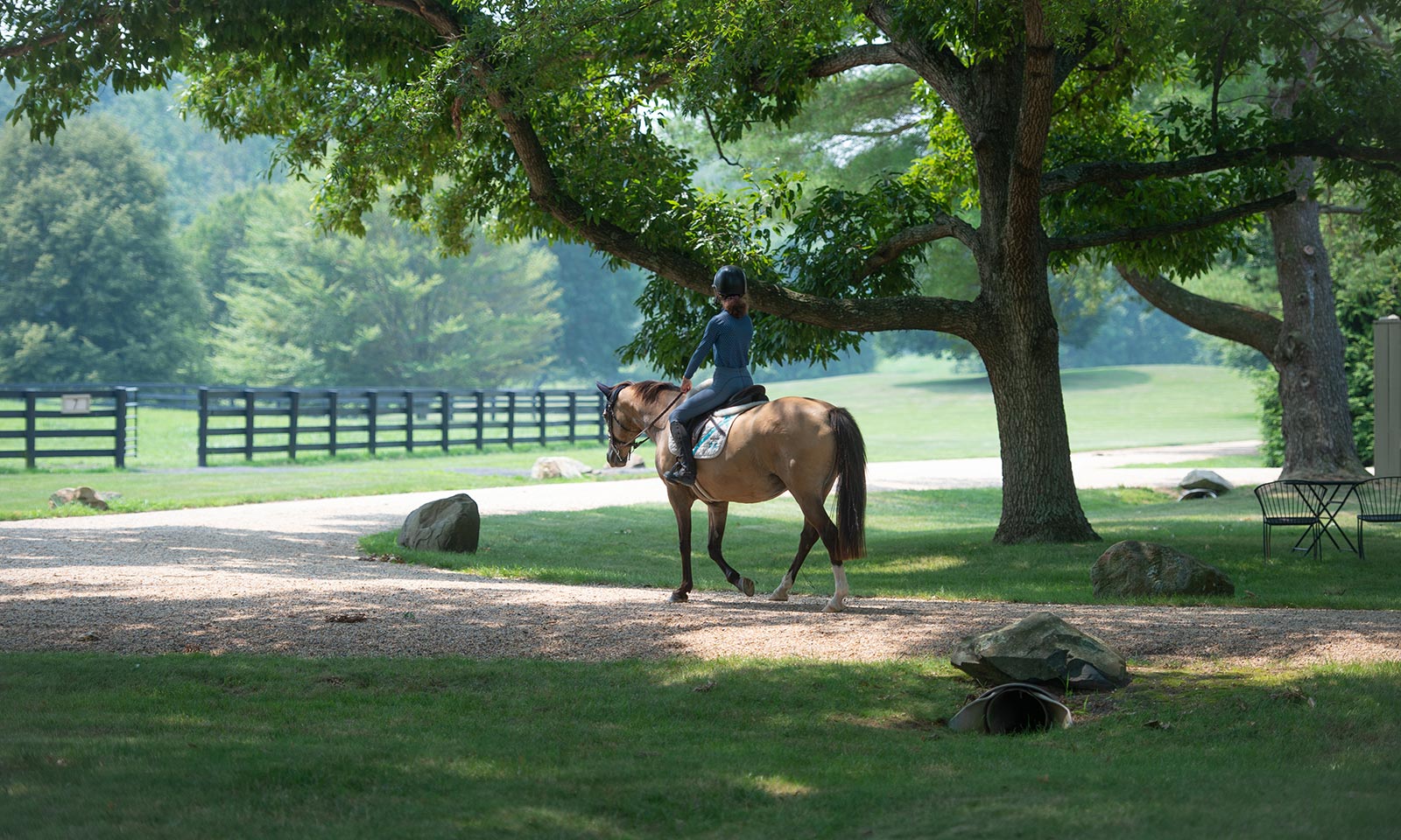 A horse and rider